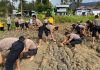 Dukung Asta Cita Presiden , Polres Puncak Buka Lahan Pertanian