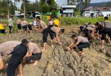 Dukung Asta Cita Presiden , Polres Puncak Buka Lahan Pertanian